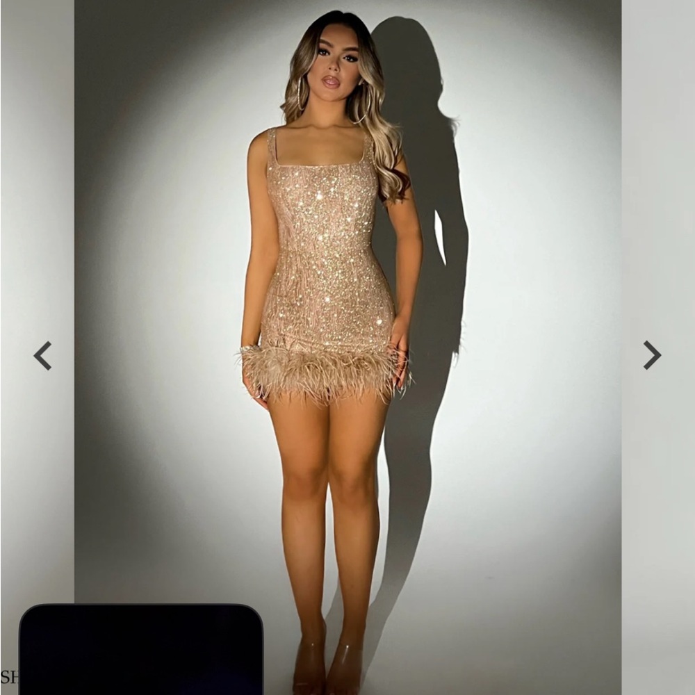 Elegant Sequin Feather Trim Dress